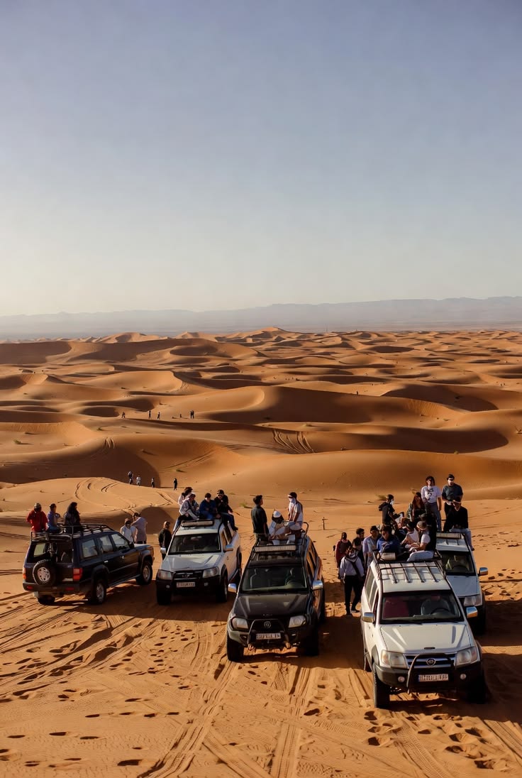 Safari 4x4 dans le désert